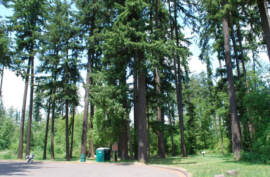 Washburne State Wayside, Oregon, USA